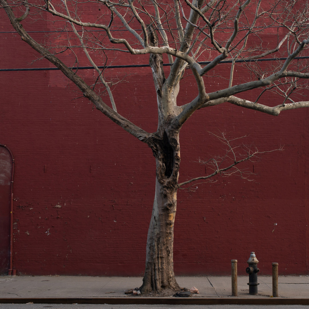 Photograph: 3rd Ave. Corridor, 2020.