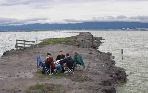 Photograph: C5 Field Mediation, Alviso, CA.