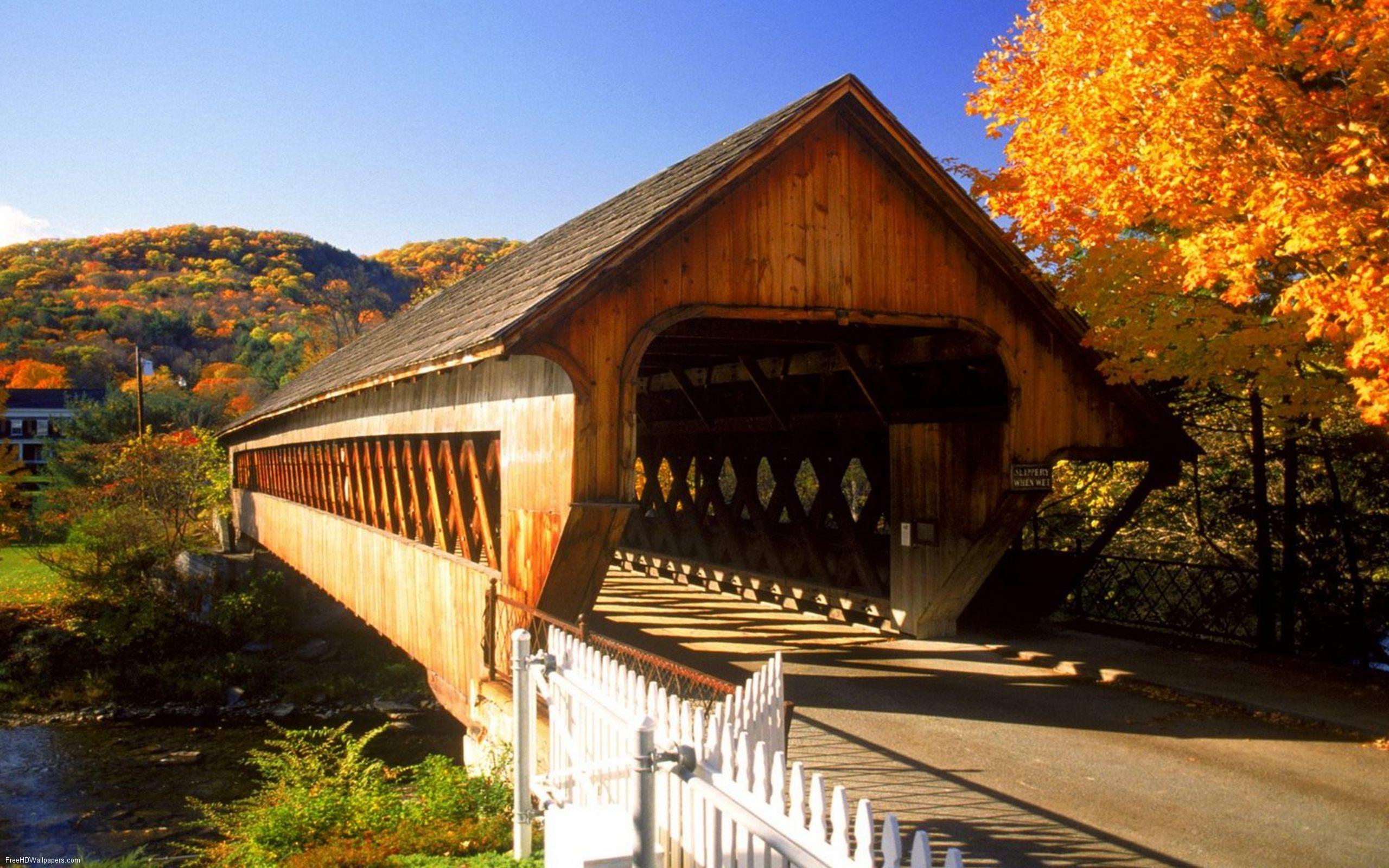 Photograph-Covered bridge in VT.