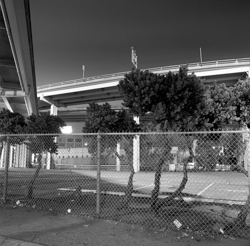 %_tempFileNamepedestrian_photo009%