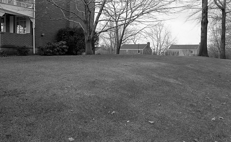 %_tempFileNamesuburban_lawn008%