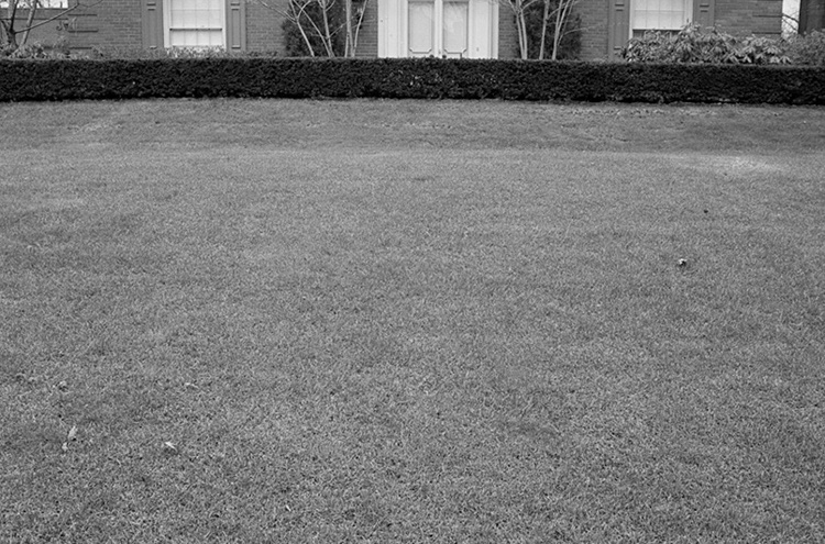 %_tempFileNamesuburban_lawn015%