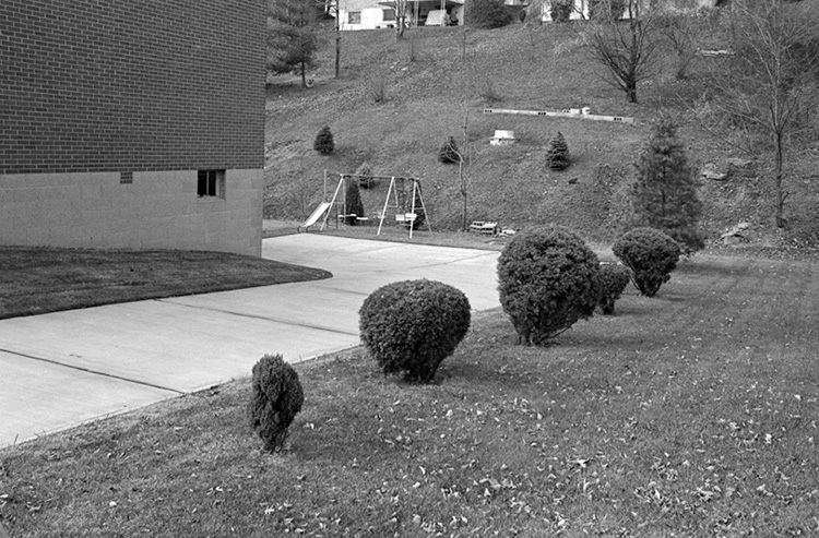 %_tempFileNamesuburban_rnd_bushes002%