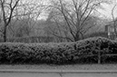 %_tempFileNamesuburban_hedges003%