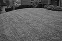 %_tempFileNamesuburban_lawn003%