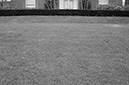 %_tempFileNamesuburban_lawn015%