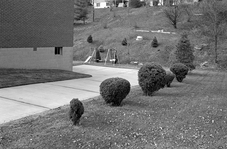 Suburban Lawns Image 1.